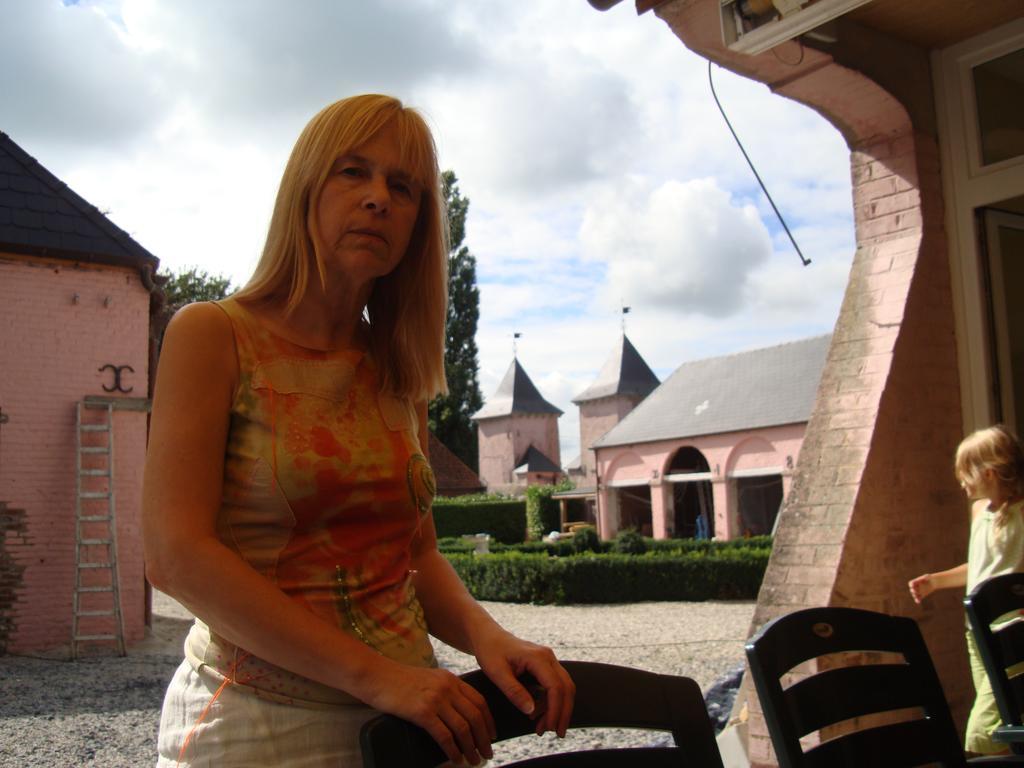 B&B Chateau Bagatelle Frasnes-lez-Anvaing Zewnętrze zdjęcie
