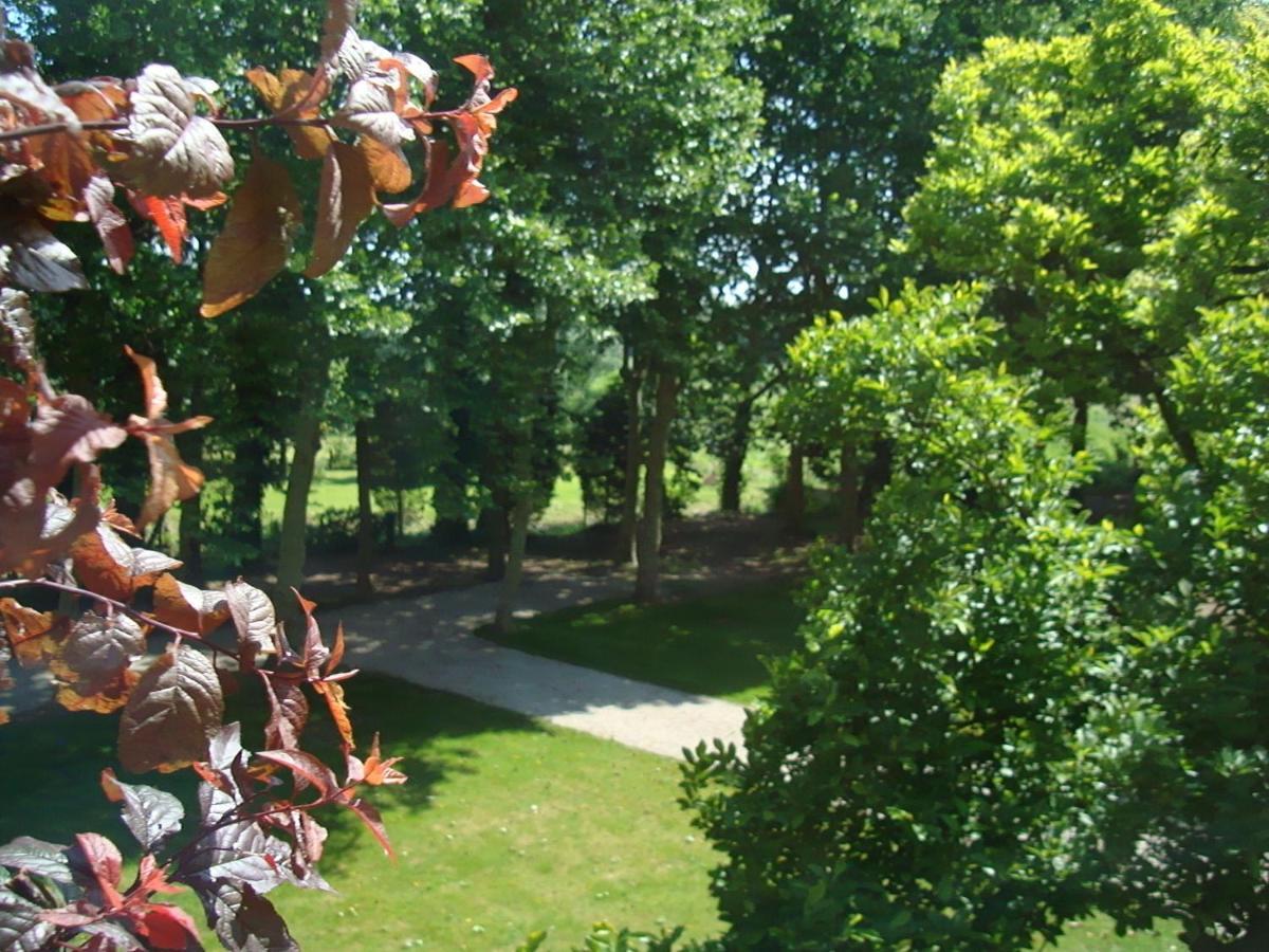 B&B Chateau Bagatelle Frasnes-lez-Anvaing Zewnętrze zdjęcie