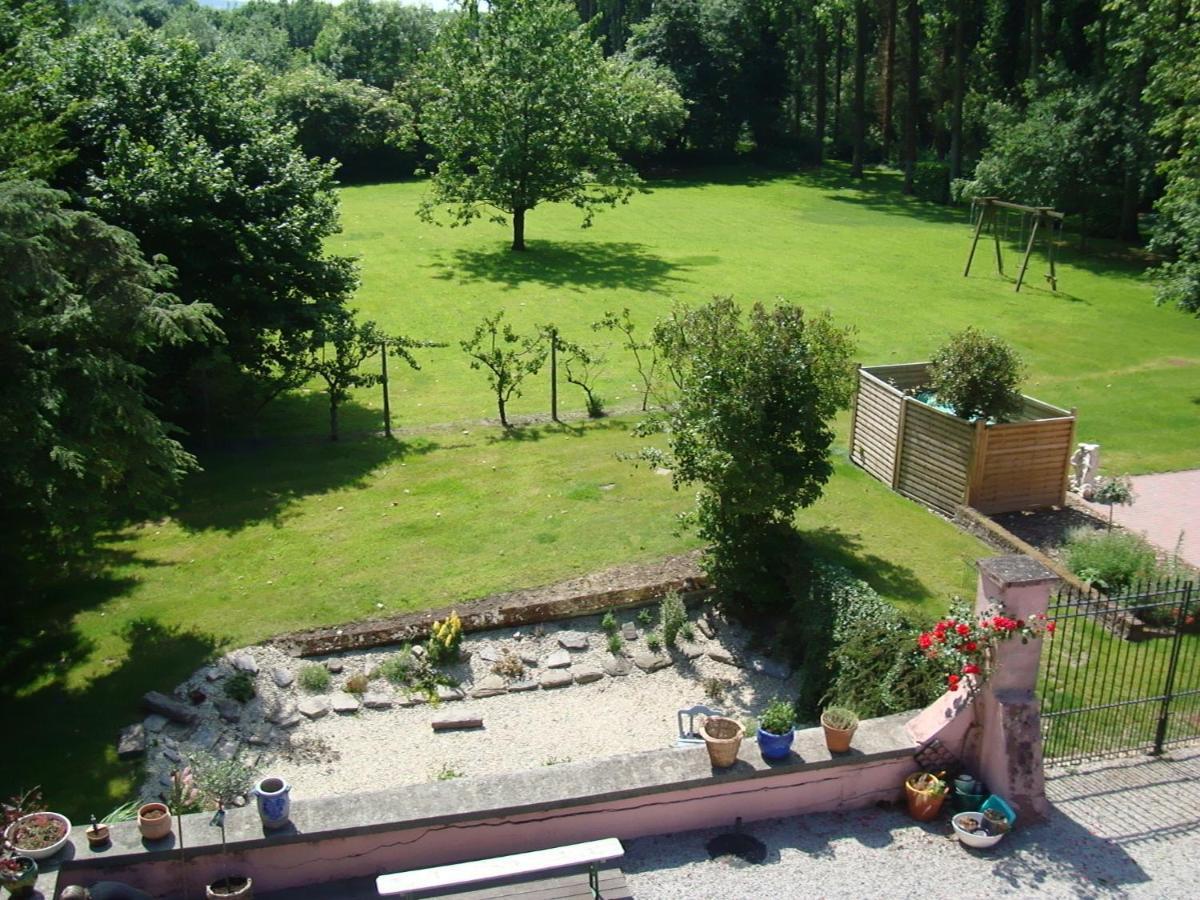 B&B Chateau Bagatelle Frasnes-lez-Anvaing Zewnętrze zdjęcie